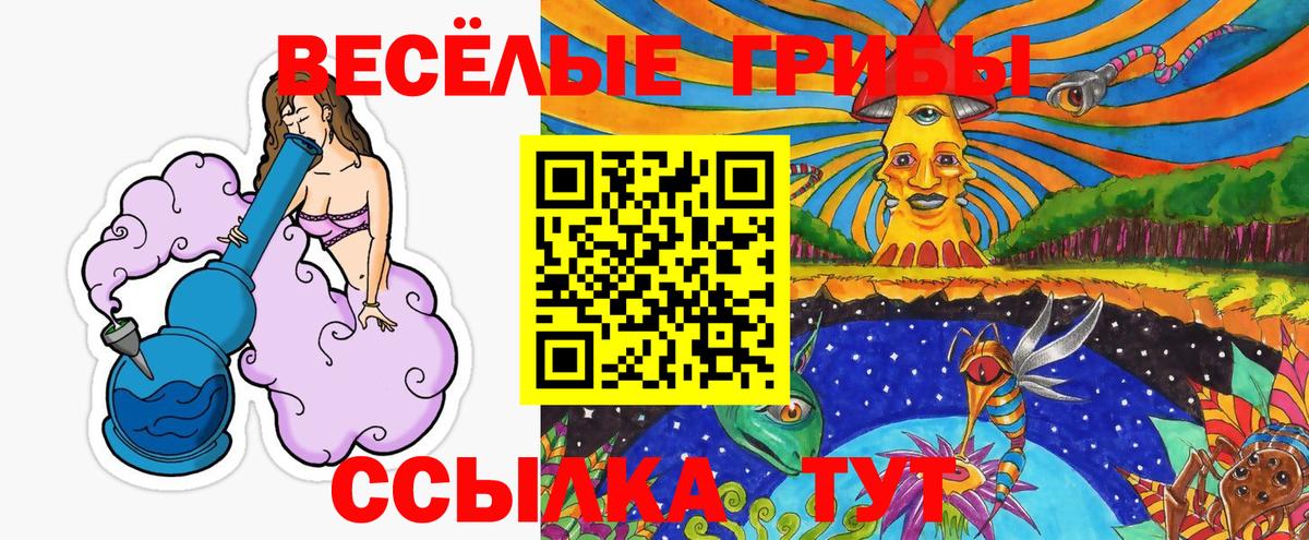 Псилоцибиновые грибы Magic Shrooms  Вход с VPN  Углич  Галлюциногенные грибы Cubensis 